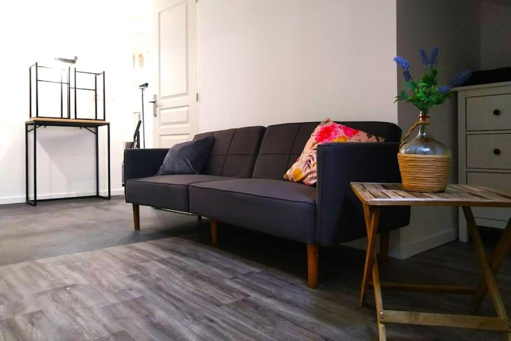 Le Cours Foucault - 3 Appartements - 8 Couchages Μοντωμπάν Εξωτερικό φωτογραφία